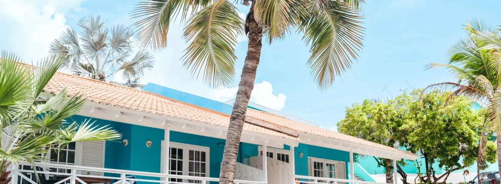 Dive into Adventure at Bon Bini Resort