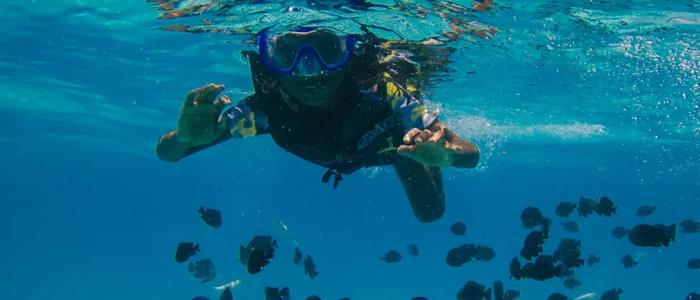 Dive Vacation in Curaçao: Explore the Underwater World