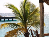 ZEB-Curacao-05.jpg