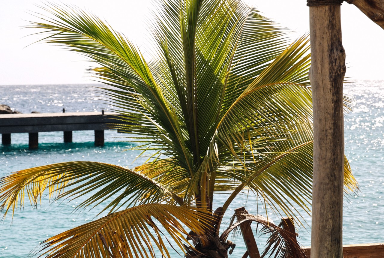 ZEB-Curacao-05.jpg