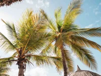 Curacao’s Tropical Climate – Sun, Sea & Perfect Weather!