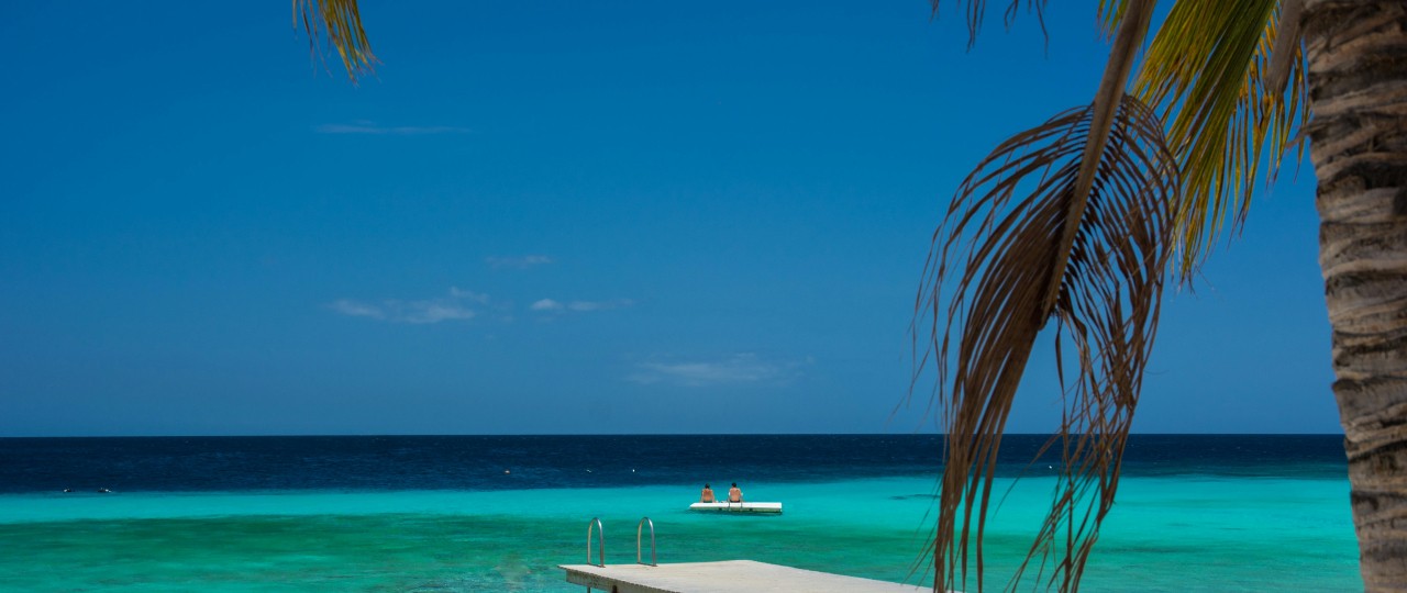 beach-palmtree-curacao