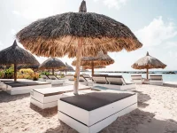Luxury Beach Beds at Cabana Beach, Mambo Beach Curacao