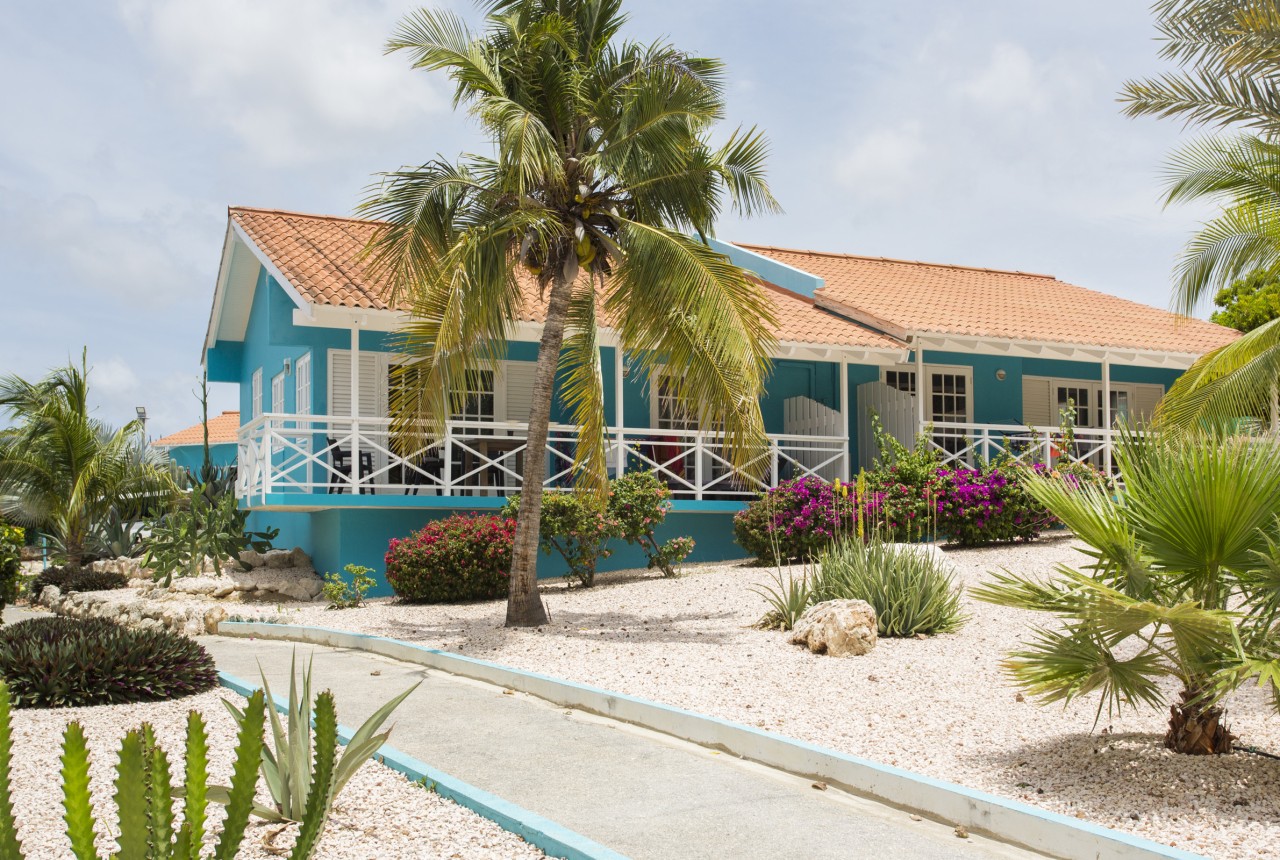 Mambo Beach bungalow renting - Bungalow - Bon Bini Seaside Resort